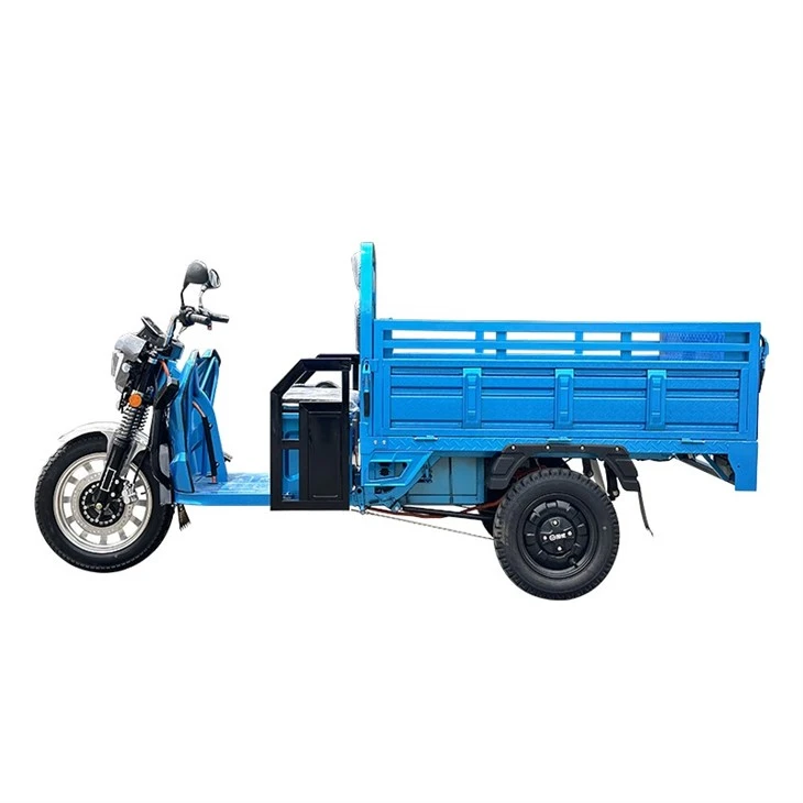 Factory Direct Safe Electric Tricycles 2 Seater 1500W Tricycle Electric Bike For Adults Electric Tricycle Rain Protection